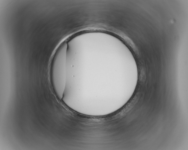 X0000112461224200909141051