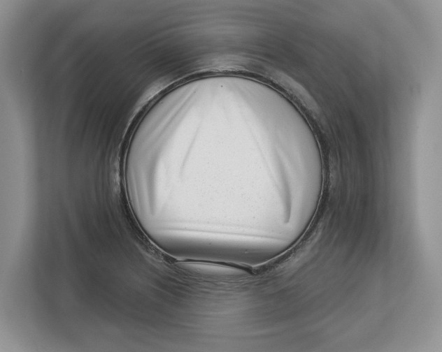 X0000112461226200909141051
