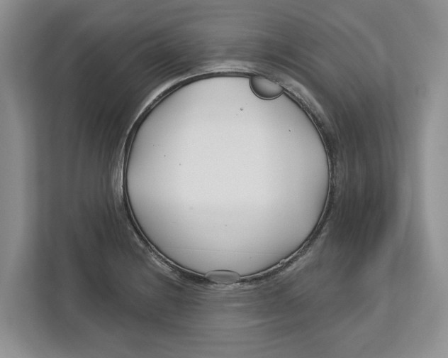 X0000112461228200909141051