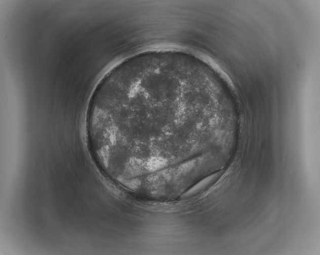 X0000112461229200909141051