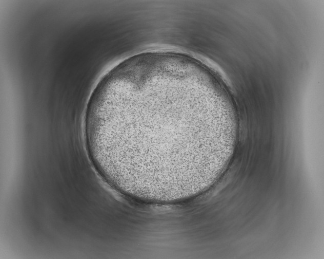 X0000112461231200909141051