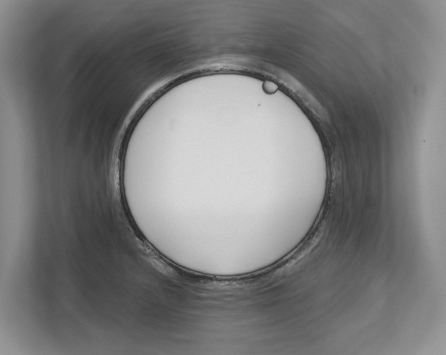 X0000112461232200909141051