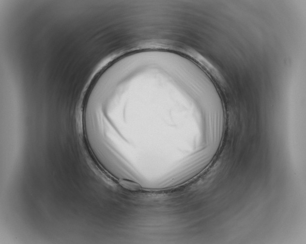 X0000112461238200909141052