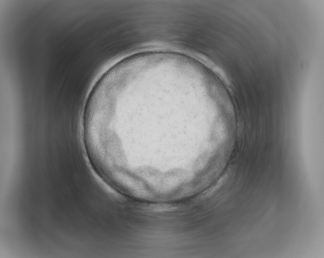 X0000112461239200909141052
