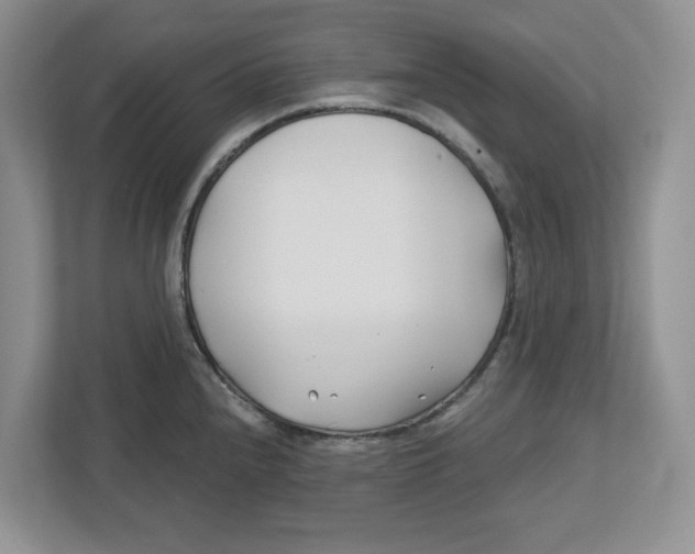 X0000112461240200909141052