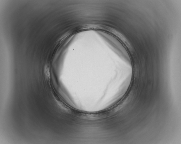 X0000112461241200909141052