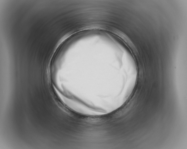 X0000112461242200909141052