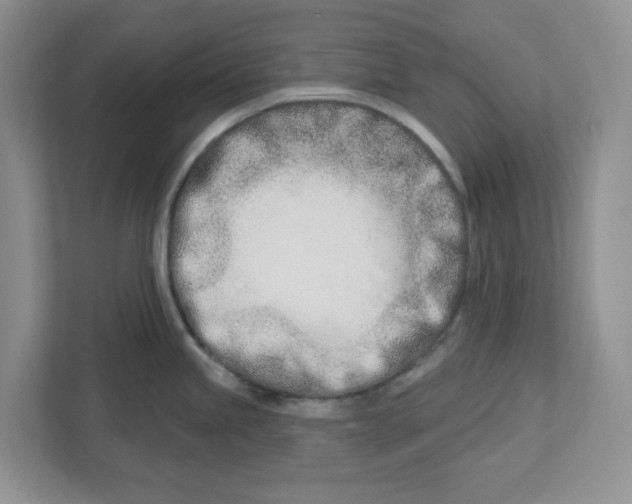 X0000112461245200909141052