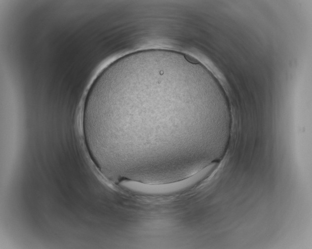 X0000112461246200909141052