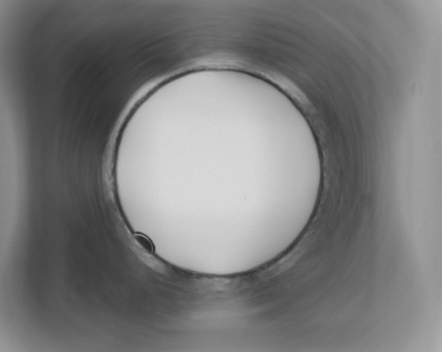 X0000112461248200909141052