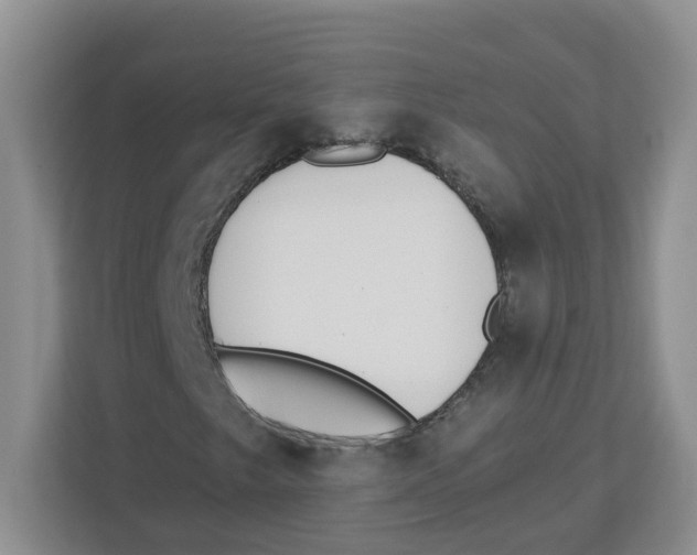 X0000112461249200909141051