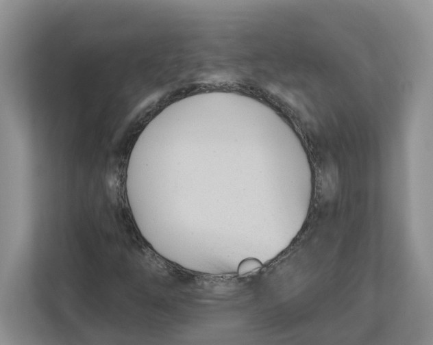 X0000112461254200909141051