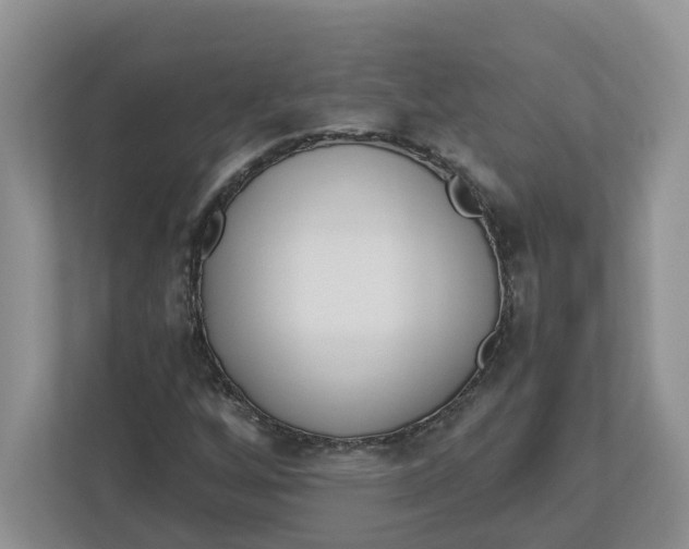 X0000112461256200909141051