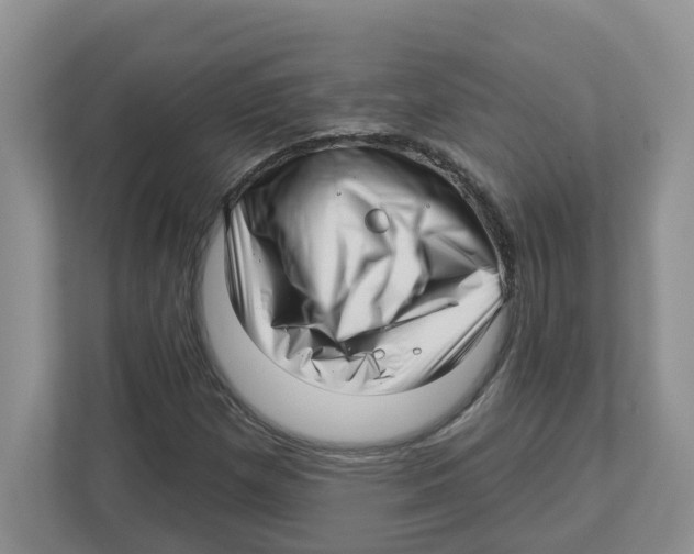 X0000112461257200909141051
