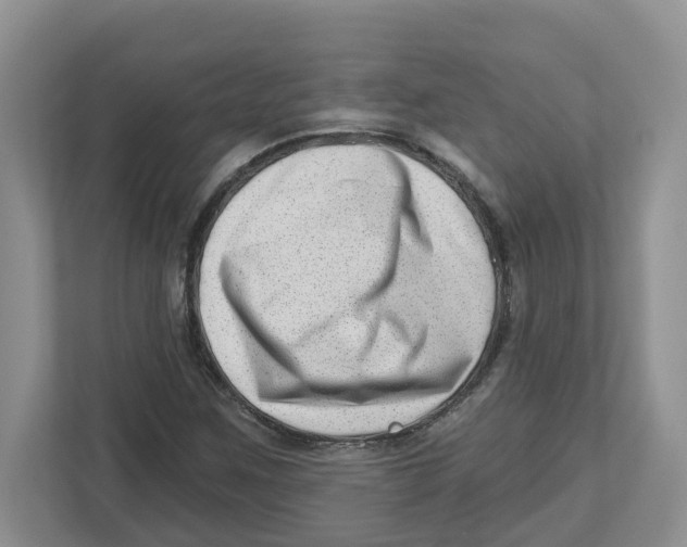 X0000112461259200909141051