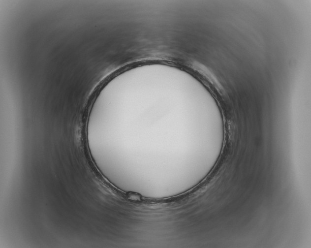 X0000112461260200909141051