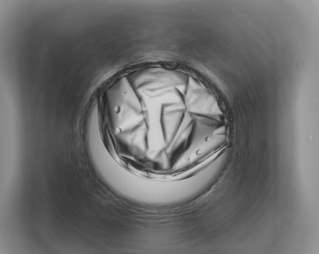 X0000112461261200909141051