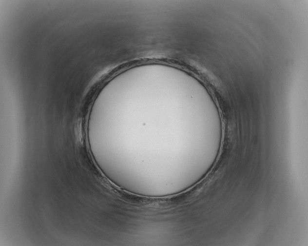 X0000112461262200909141051