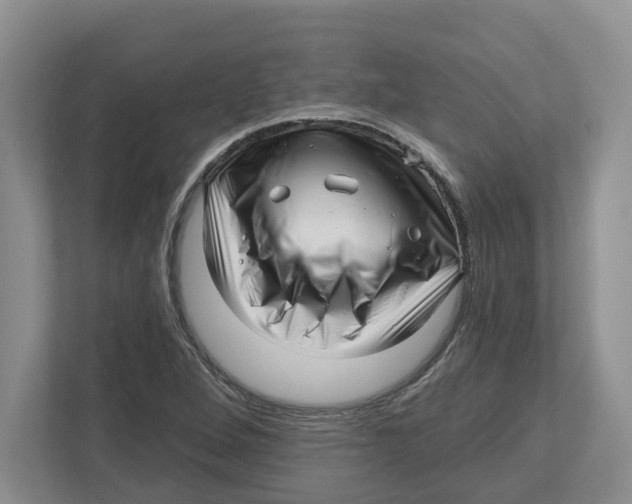 X0000112461264200909141051