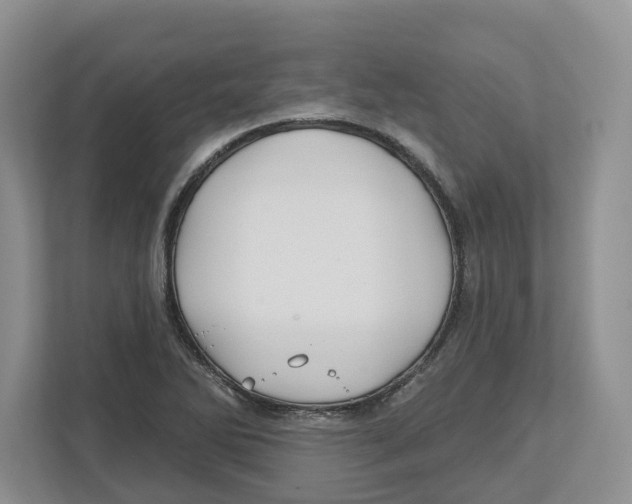 X0000112461270200909141051