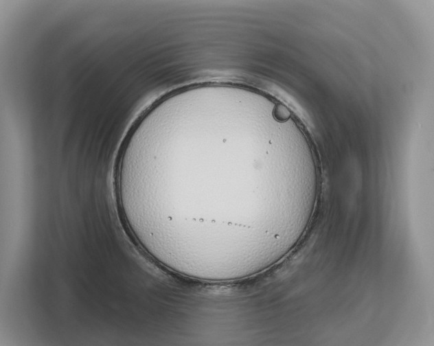 X0000112461283200909141051