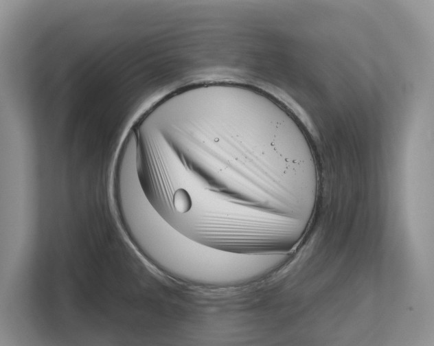 X0000112461285200909141051
