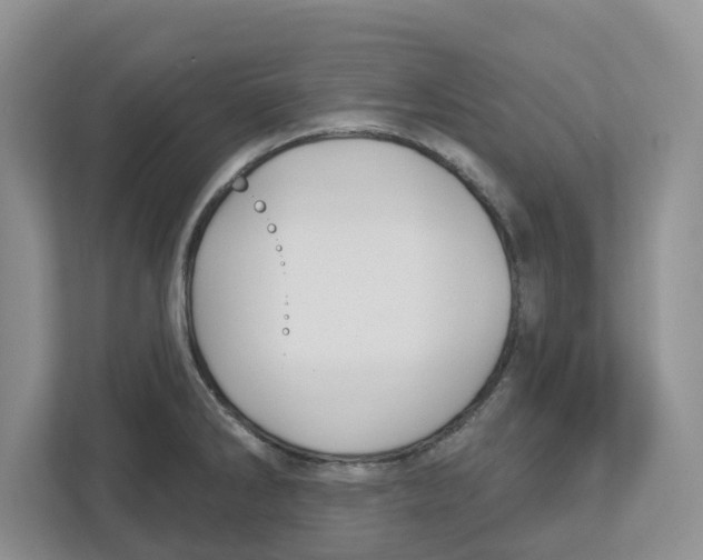 X0000112461286200909141051