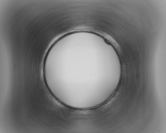 X0000112461288200909141051