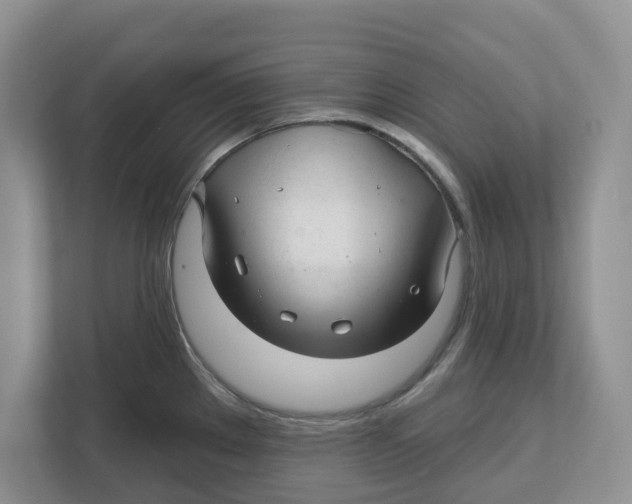 X0000112461289200909141051