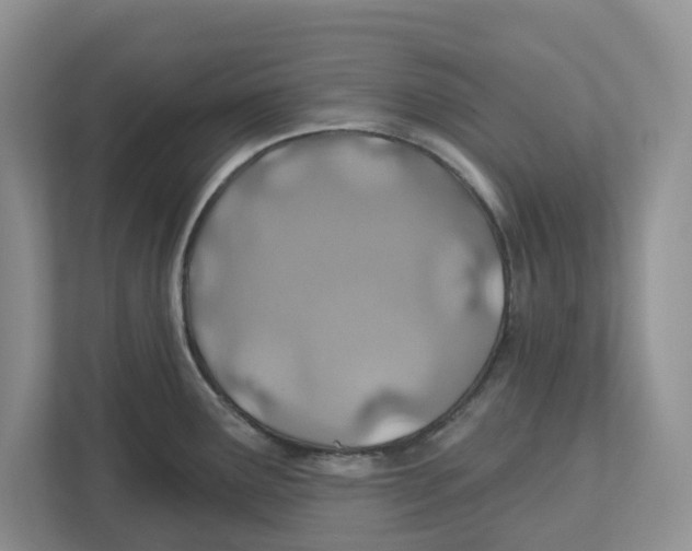 X0000112461291200909141051