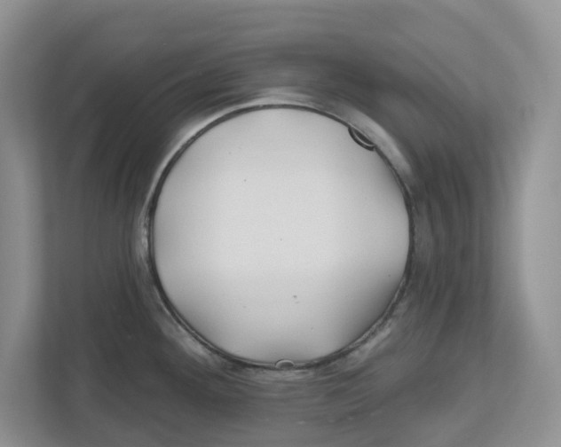 X0000112461292200909141051