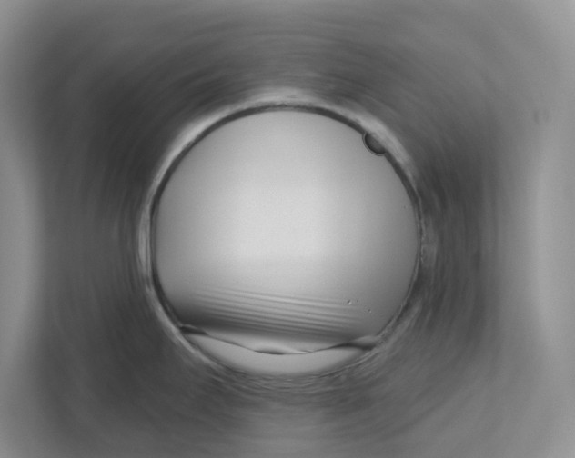 X0000112461295200909141050