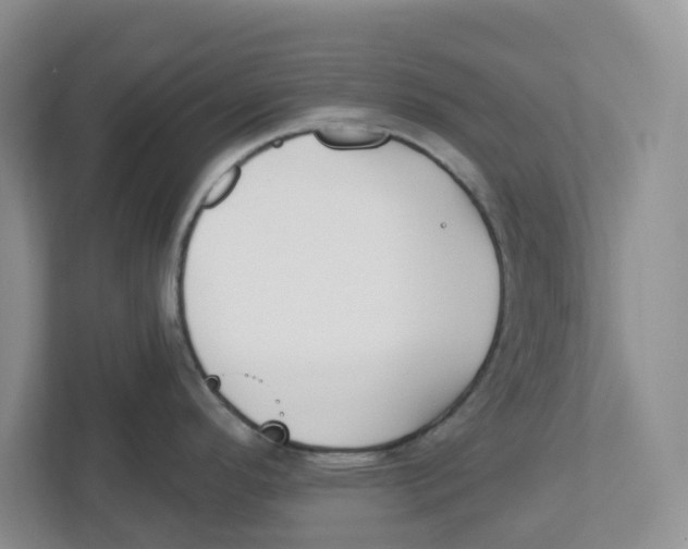 X0000112461296200909141050