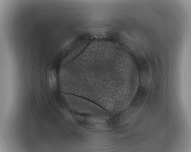 X0000112461298200909141050