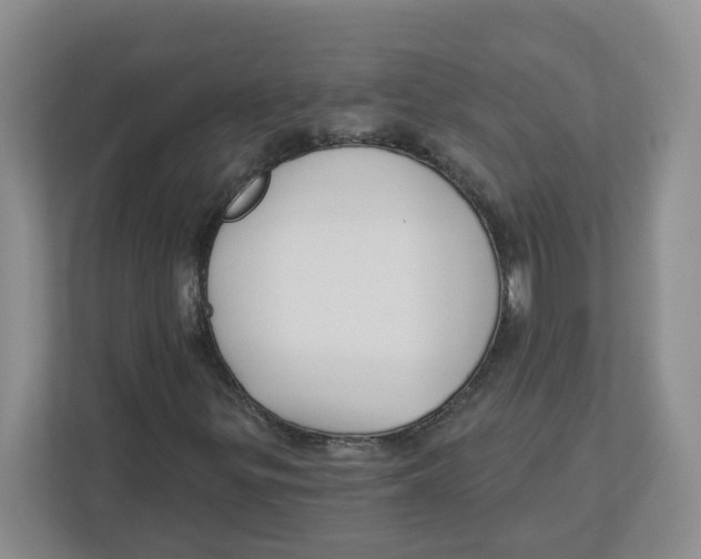 X0000112461299200909141050