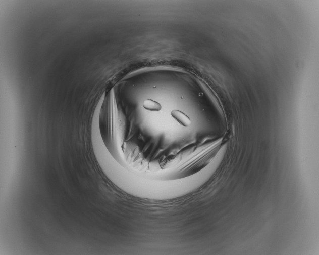 X0000112461300200909141050