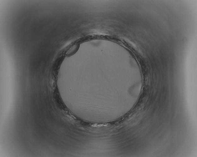 X0000112461303200909141050