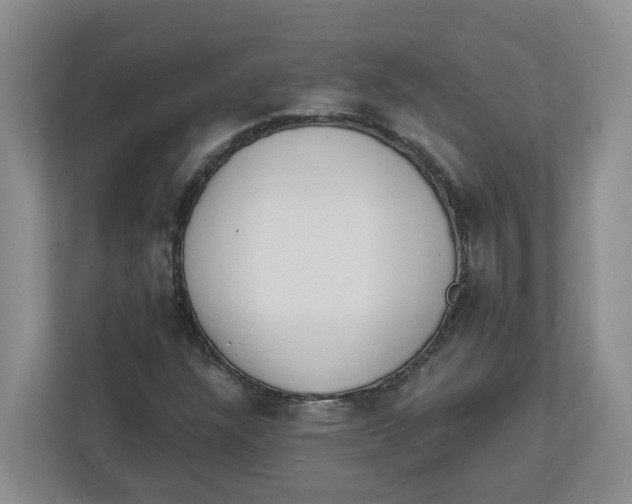 X0000112461304200909141050