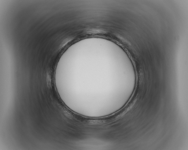 X0000112461305200909141050