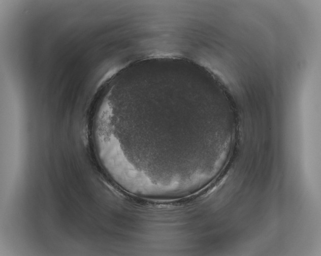 X0000112461306200909141050