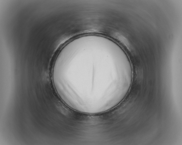 X0000112461308200909141050