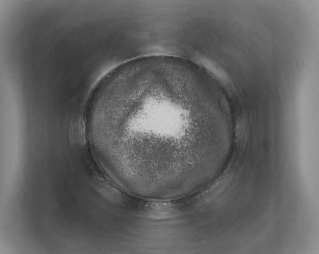 X0000112461310200909141050