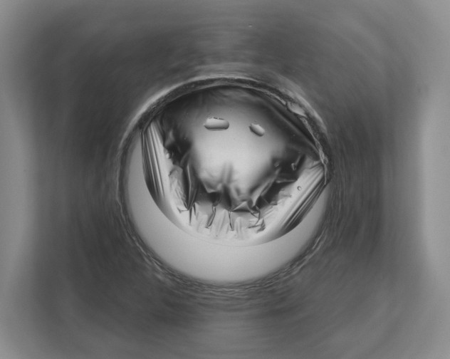 X0000112461312200909141050