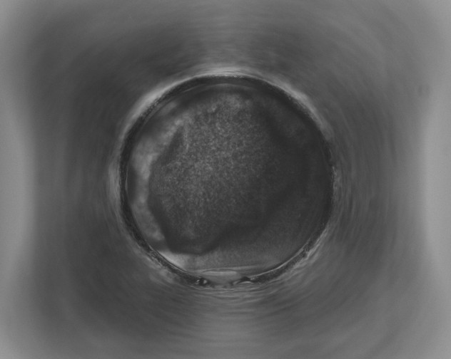 X0000112461319200909141050