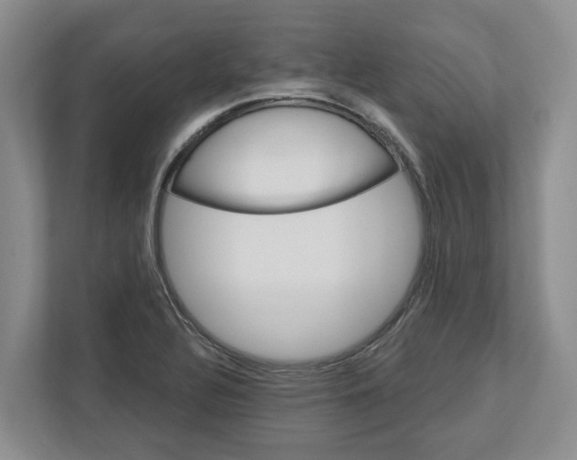 X0000112461320200909141050