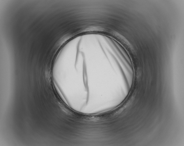 X0000112461321200909141050