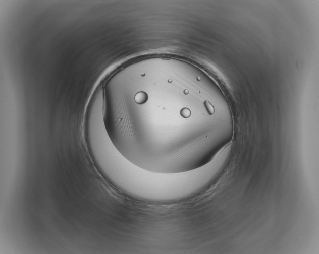 X0000112461324200909141050