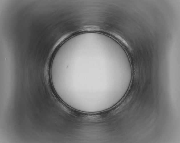 X0000112461325200909141050