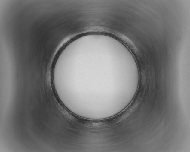 X0000112461326200909141050