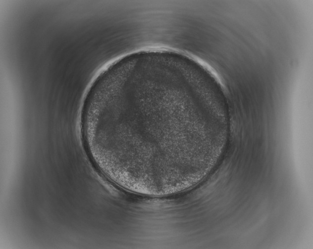 X0000112461327200909141050